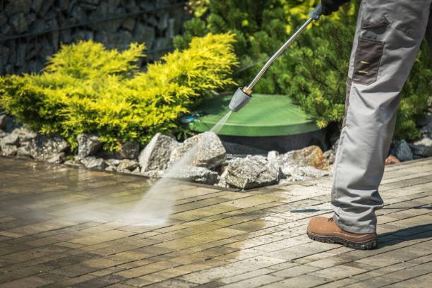 Best Spring Cleaning  in Reno, TX