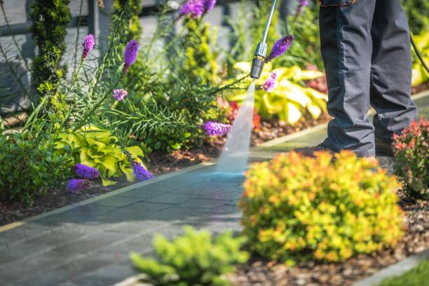 Trusted Reno, TX  Pressure Washing Services Experts